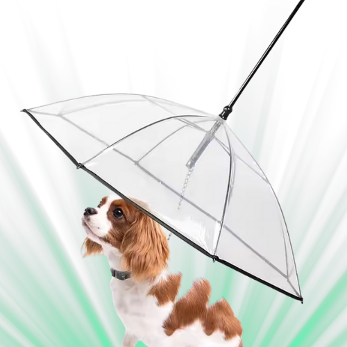 Regenschirm Leine für Hunde