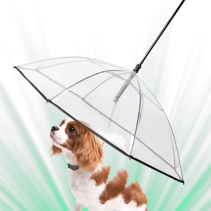 Regenschirm Leine für Hunde