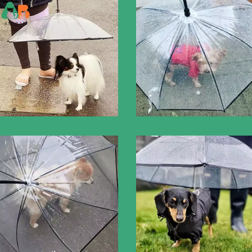 Regenschirm Leine für Hunde