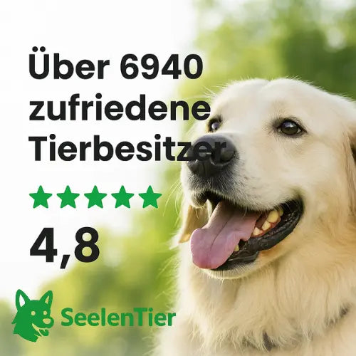 Gehörschutz™ - SeelenTier